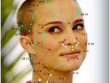 Science Proves Meridians Exist