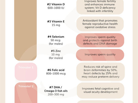 TOP 9 Important Nutrients for Fertility and Pregnancy