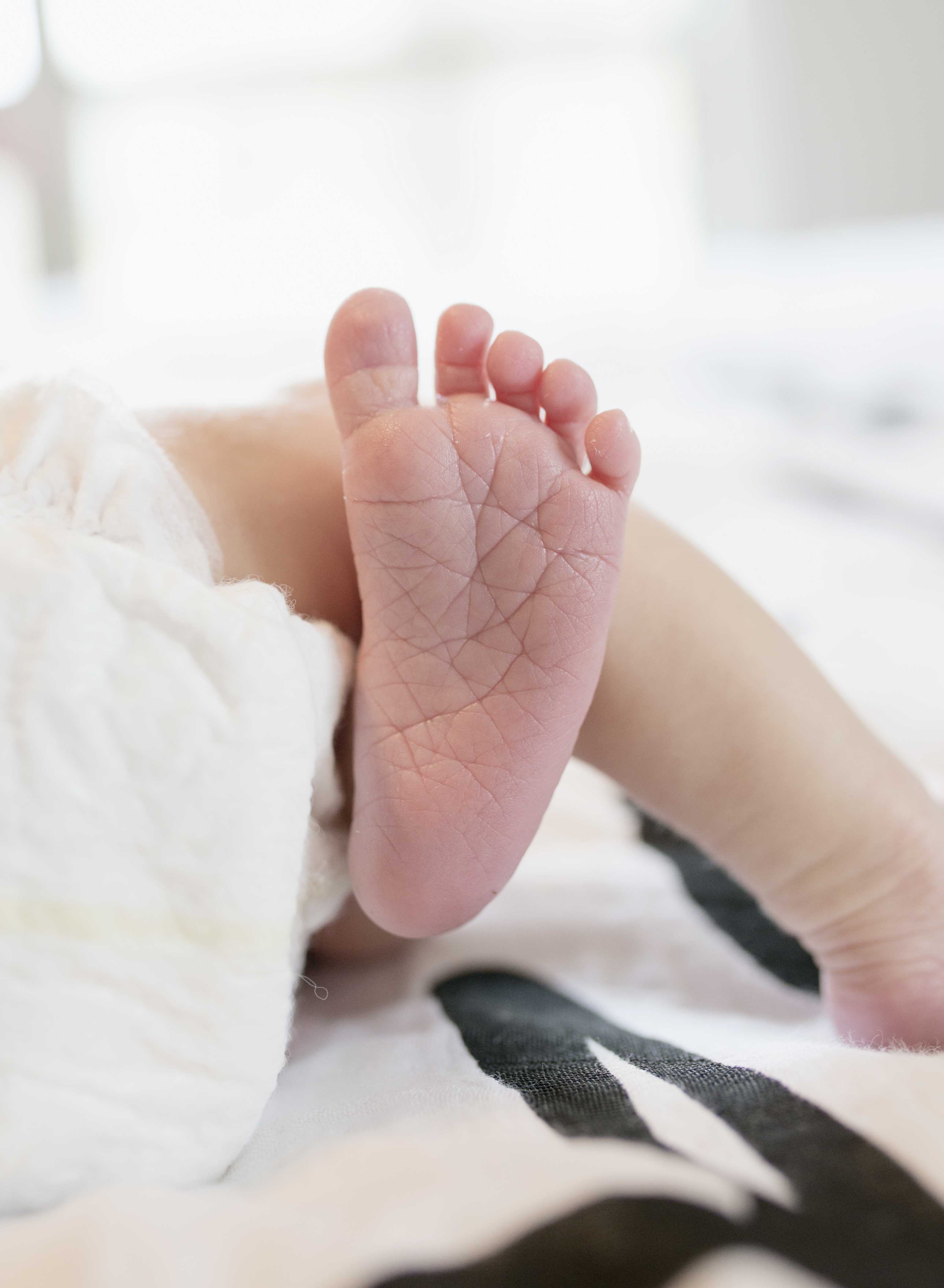 Newborn Sessions