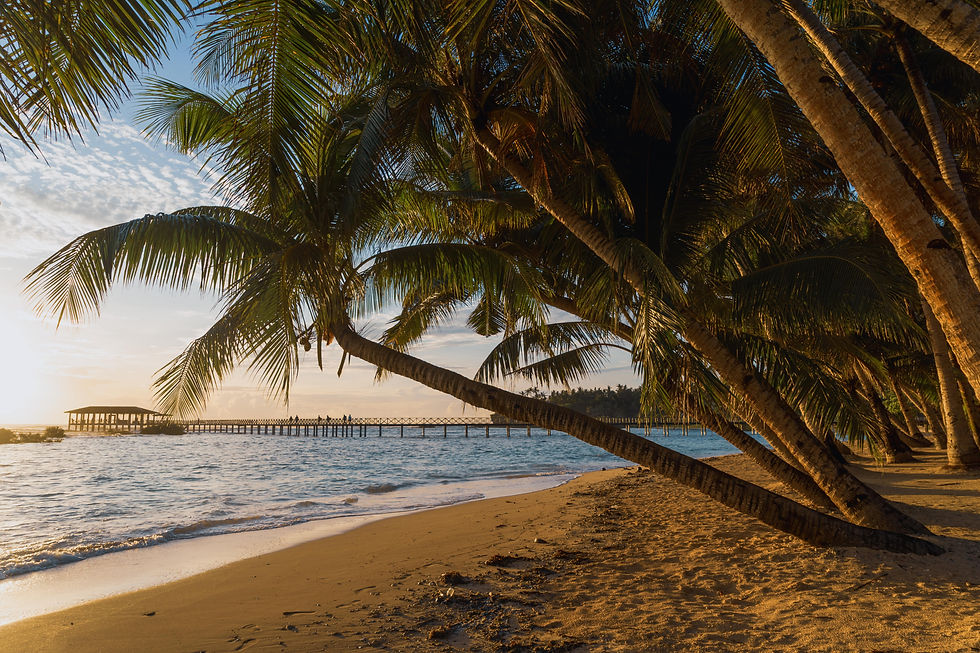 Strand auf Siargao auf den Philippinen