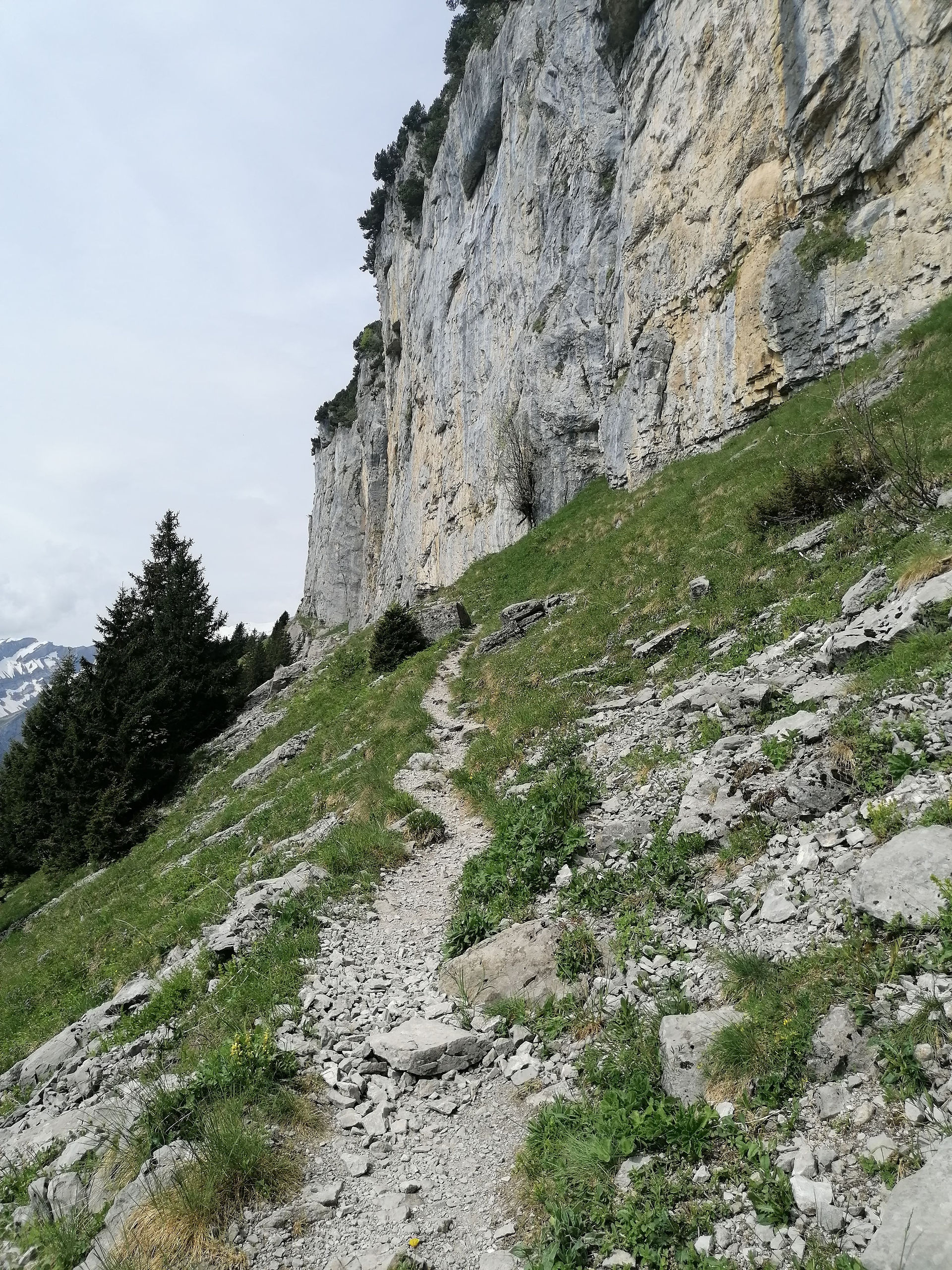 Ebenalp Kletterwand