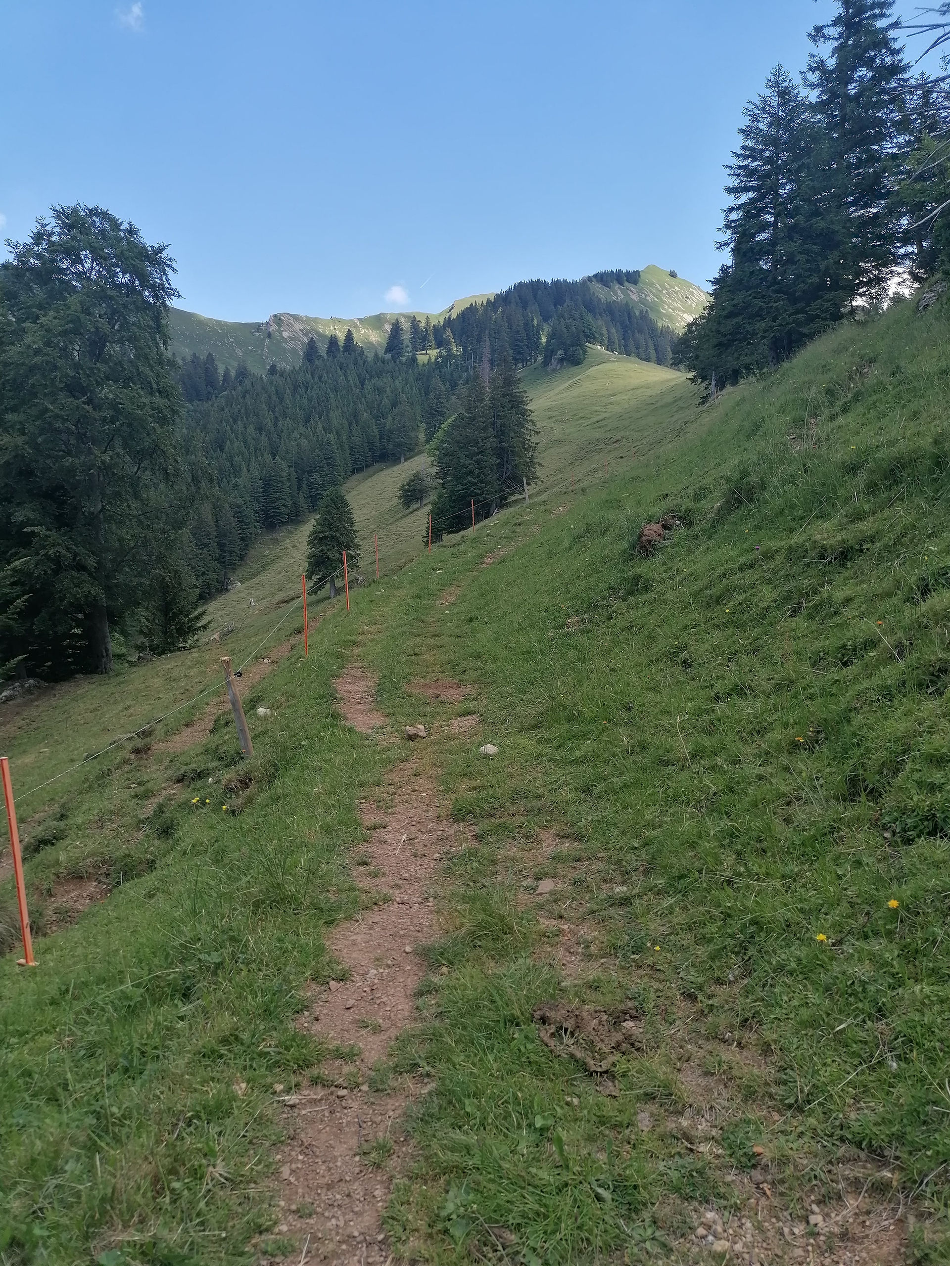 Gratwanderugn zum Plättlispitz