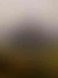 Ausblick von Stockberg