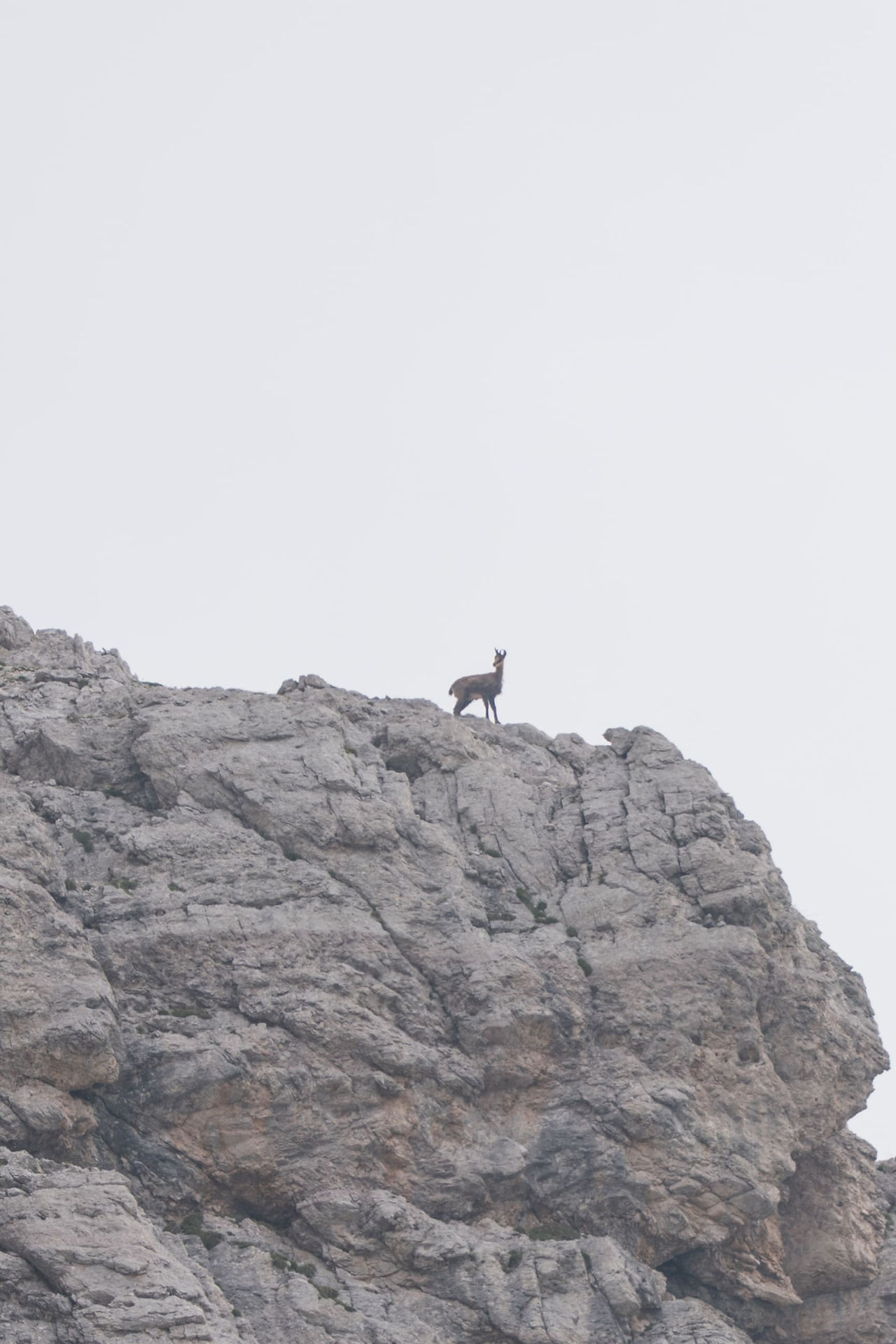 Südtirol Blog von Stefan Trampitsch