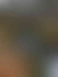 Wasserfallweg im Schwarzwald