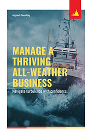 Augmenti Consulting - Manage a Thriving All-Weather Business.png