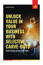 Augmenti Consulting - Unlock Value in Your Business with Selective Carve-Outs.jpg