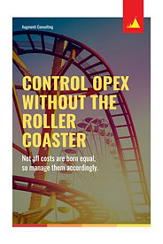 Augmenti Consulting - Control Opex Without the Roller Coaster.jpg