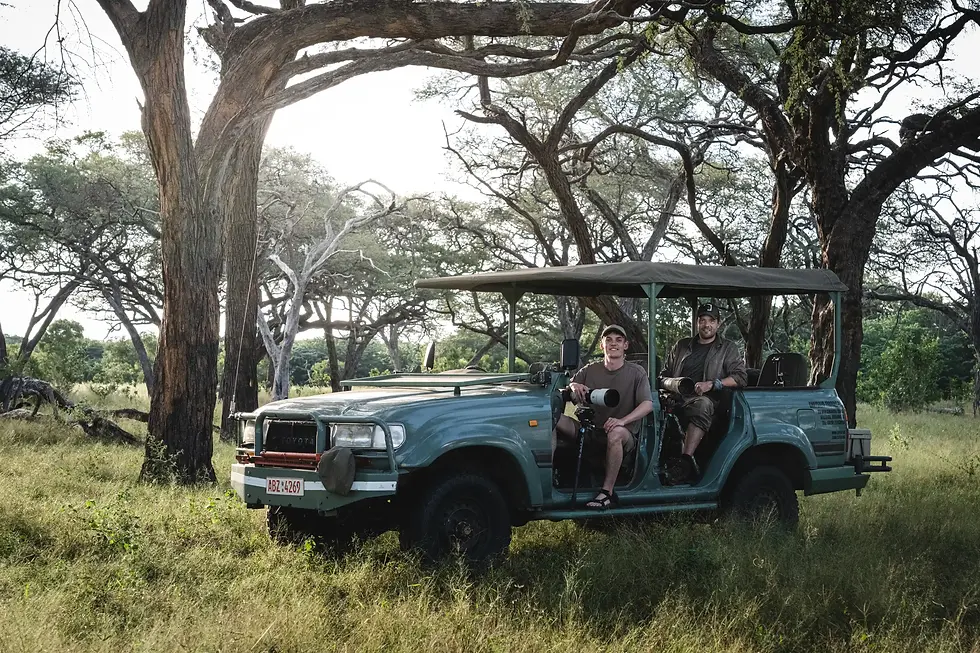 Zimbabwe - Side om side med rovdyr