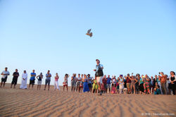 Falcon Group Show_TravcoEvents