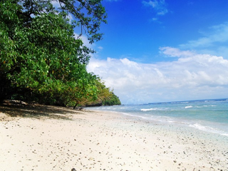 Wisata Taman Wisata Dan Cagar Alam Pangandaran