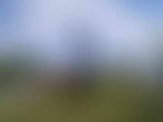 STRATEGI PEMDA : Upaya Maksimal Demi Status KEK