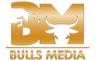 logoBulls.png