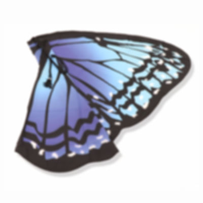 ASA DE BORBOLETA_Azul