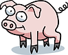 pig.png