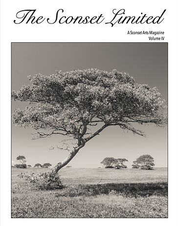 TSL Volume IV Cover.png