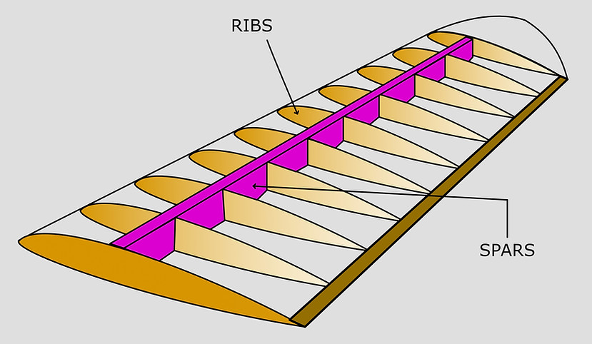 Ribs and Spar of a wing