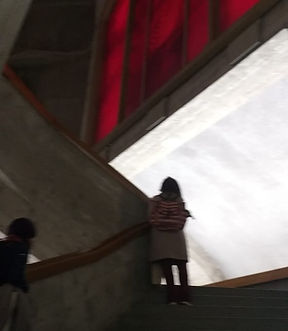 centenário pedagogia waldorf