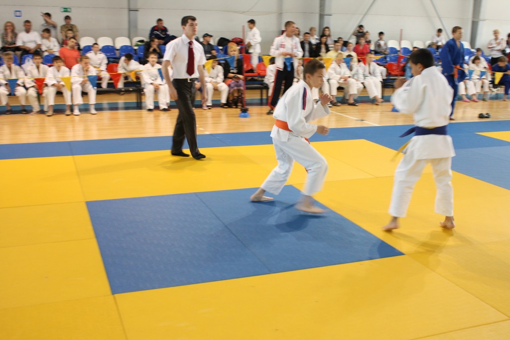 IMG_2971.jpg