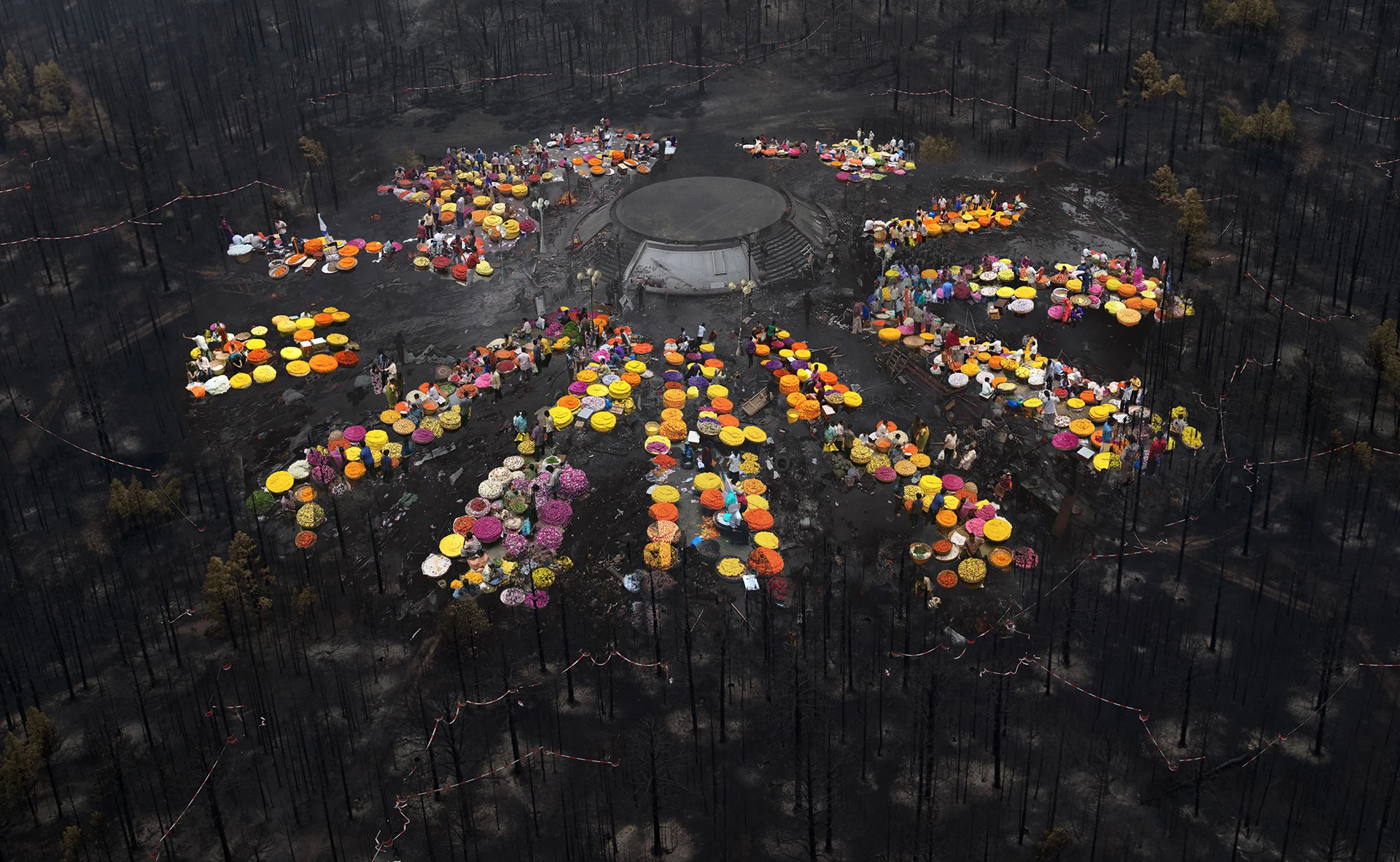 BURNED_flowermarked_rondel_v006_master_c.webp