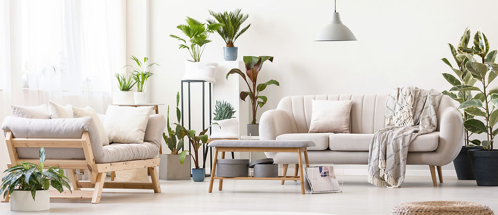Modern Living Room / Esszimmer