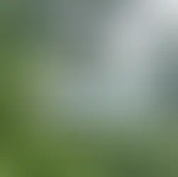 Costa Rica como vitrina mundial del ecoturismo