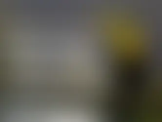 The most visited national parks in Costa Rica