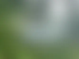 Costa Rica as a global showcase for ecotourism