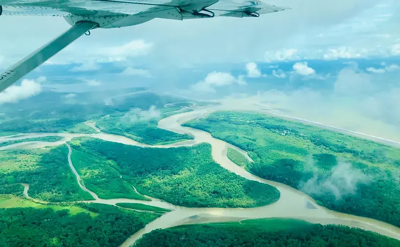 Vue aérienne de mangroves du Costa Rica
