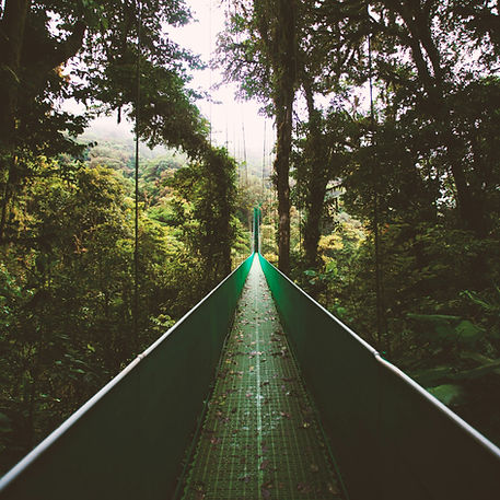 Pont suspendu Monteverde