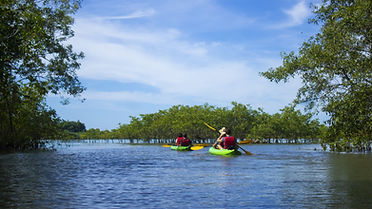Kayak Punta Mala