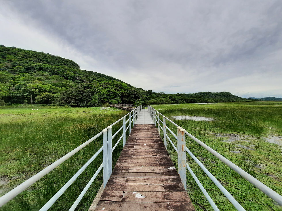 Parque Nacional Palo Verde
