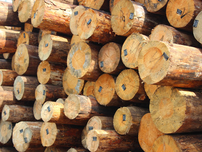 Timber stack