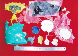 2012,'Chomp N Chewi', closer look we see marine creature bite/eat markes.