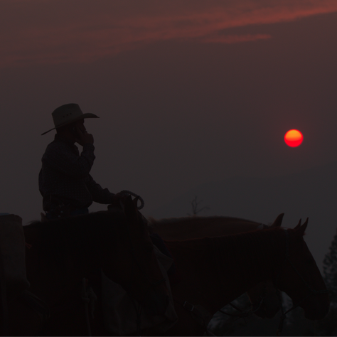 Crítica | "Gaucho Americano": Traspasando barreras culturales