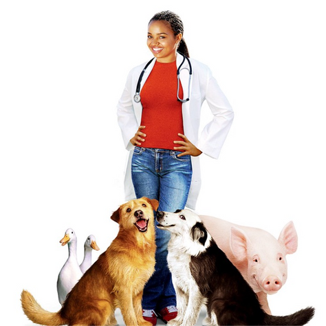 Crítica | "Dr. Dolittle 3": Debió ser un spin-off