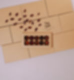 Écrin 10 PULPE