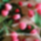 8.png