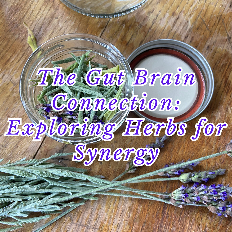 The Gut Brain Connection: Exploring Herbs for Synergy