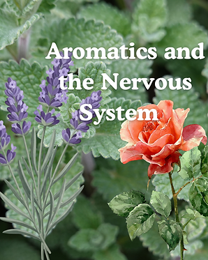 Aromatics + the NS.png