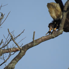 DSCN6710.JPG