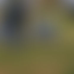 Marquer la mémoire des anciens combattants de Hong Kong