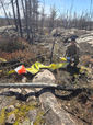 Springer Lake training continues in spite of the facility lost to the 2025 wildfire
