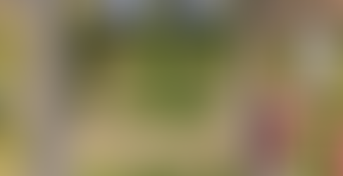 First Mortgage on vacant Land - Junee 2663