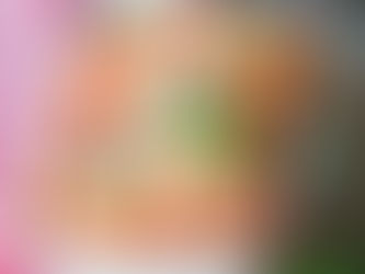 Side-by-Side Pasta Bakes Menu