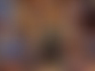 Moroccan Veg Pastilla & Lamb Menu