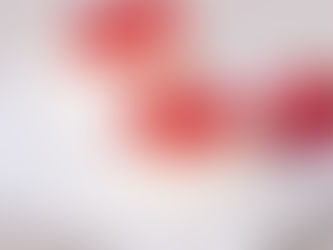 Magic Meringue Nests (Ve)