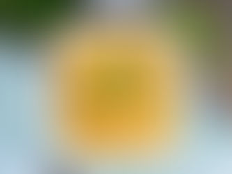 Mushroom Pasta Bake (Vegan)