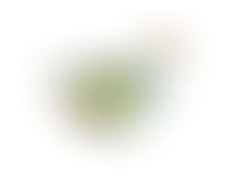 Tips - Plant-based vegetable stocks