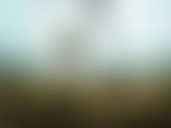 Le Corps en Mouvement // Valentina BECHI